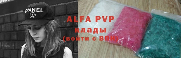 стафф Алзамай