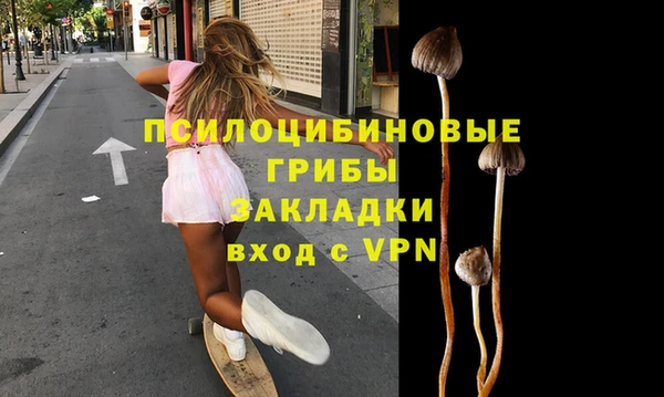 стафф Алзамай