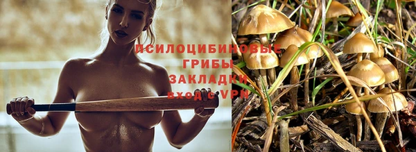 герыч Алексин