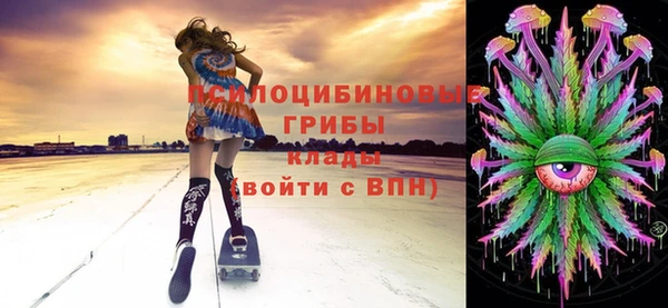 стафф Алзамай