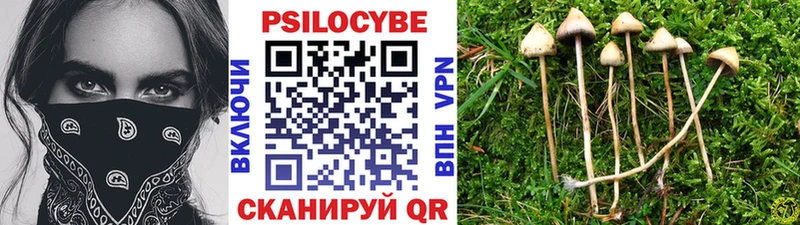 Псилоцибиновые грибы прущие грибы  Купить  Ядрин 